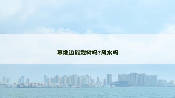 墓地边能栽树吗?风水吗