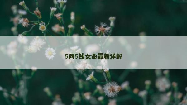 5两5钱女命最新详解