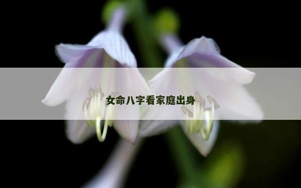 女命八字看家庭出身