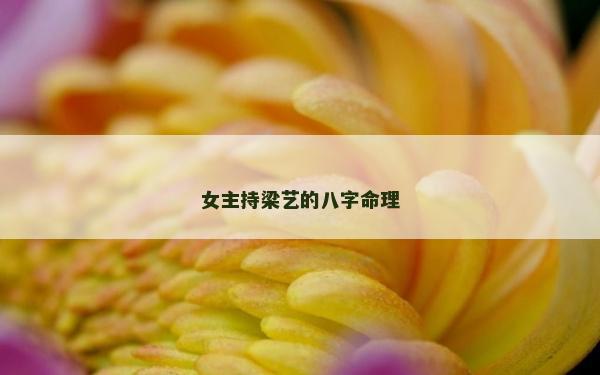 女主持梁艺的八字命理