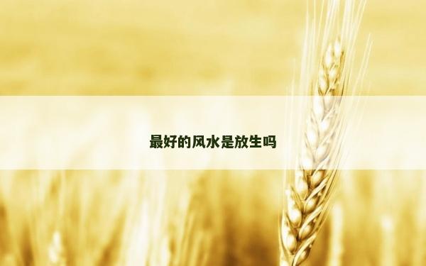最好的风水是放生吗