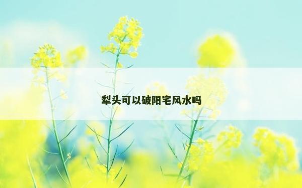 犁头可以破阳宅风水吗