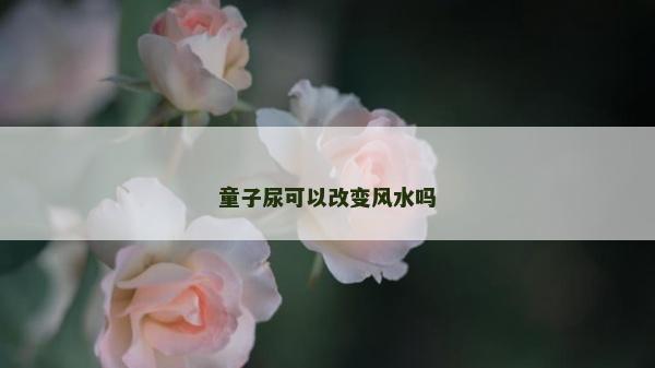 童子尿可以改变风水吗
