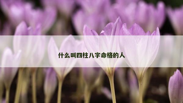 什么叫四柱八字命格的人