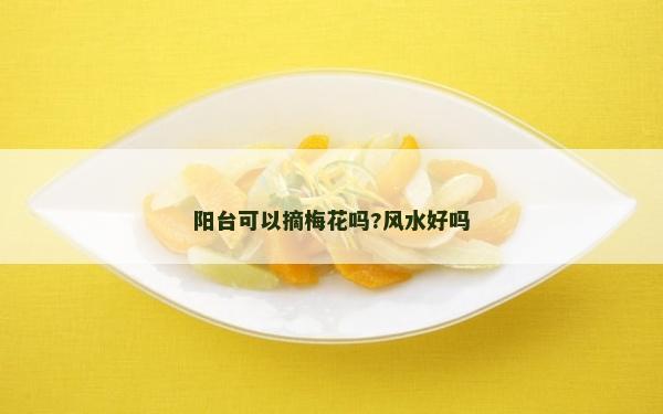 阳台可以摘梅花吗?风水好吗
