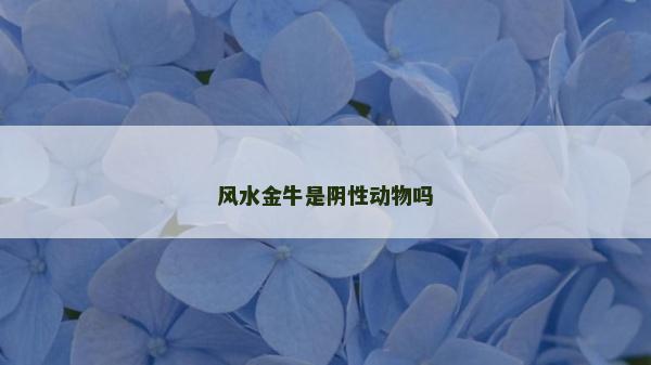 风水金牛是阴性动物吗
