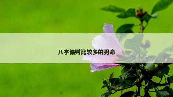 八字偏财比较多的男命