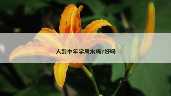 人到中年学风水吗?好吗