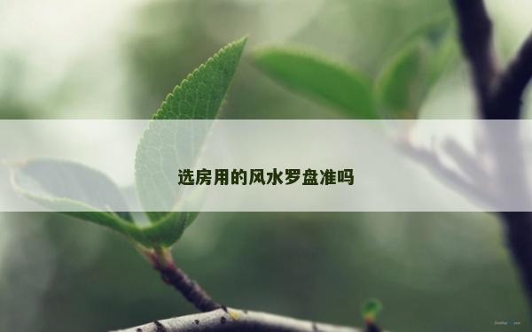 选房用的风水罗盘准吗