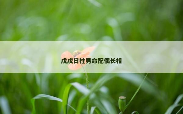 戊戌日柱男命配偶长相