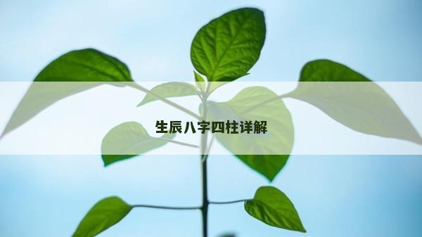 生辰八字四柱详解