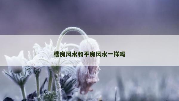 楼房风水和平房风水一样吗