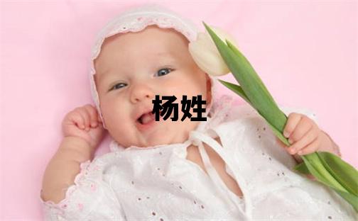 杨姓有气质的女孩名字,取什么名字好