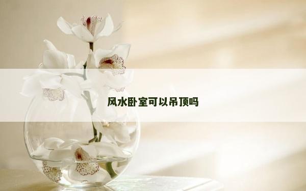 风水卧室可以吊顶吗