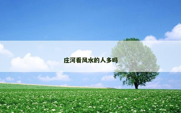 庄河看风水的人多吗