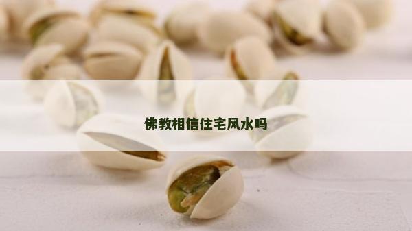 佛教相信住宅风水吗