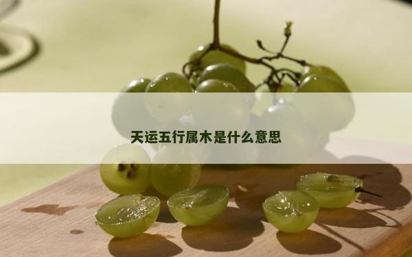 天运五行属木是什么意思