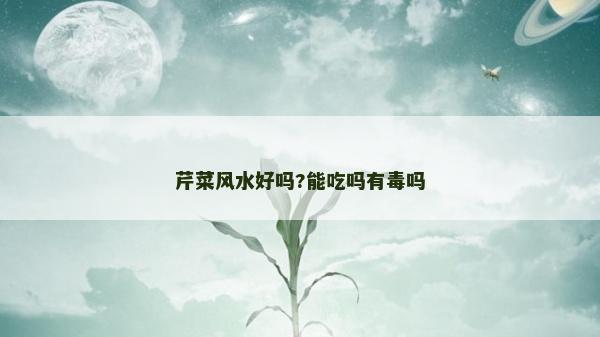 芹菜风水好吗?能吃吗有毒吗