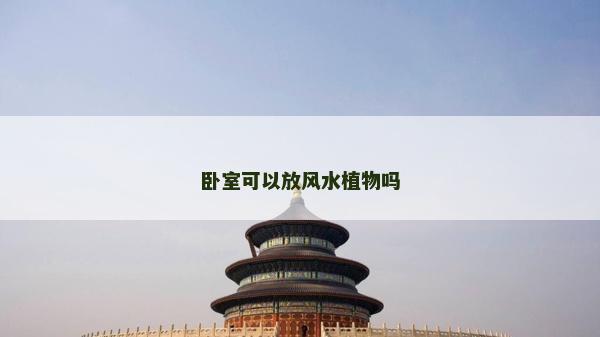 卧室可以放风水植物吗