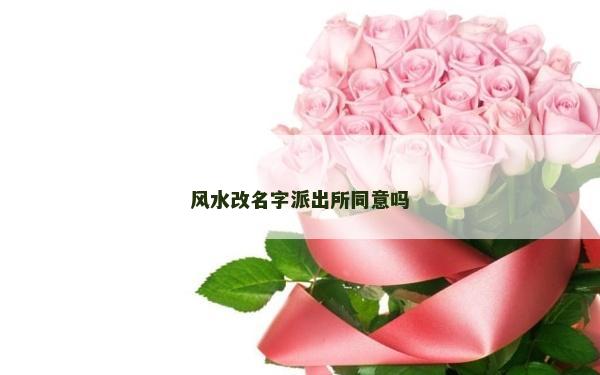 风水改名字派出所同意吗