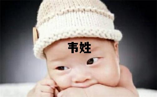 韦姓取名独特优美的男宝宝名字