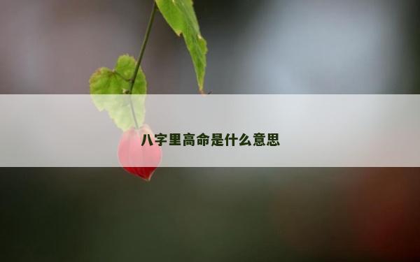 八字里高命是什么意思