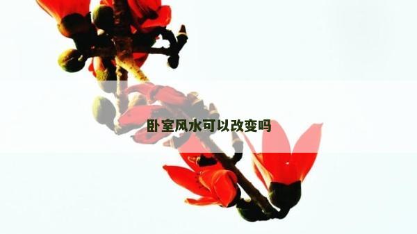 卧室风水可以改变吗