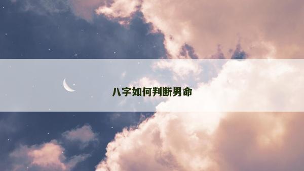八字如何判断男命