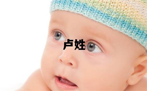 卢姓取名有智慧才气的男宝宝名字