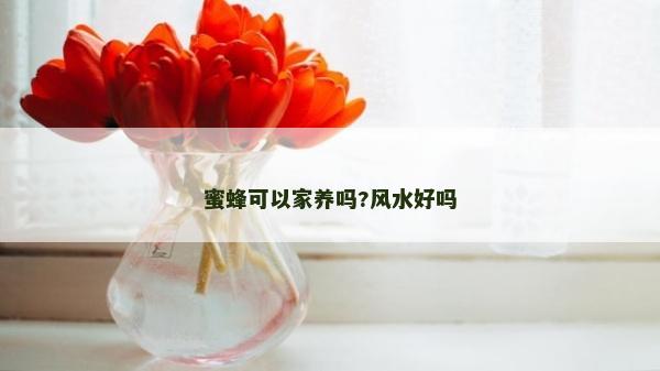 蜜蜂可以家养吗?风水好吗