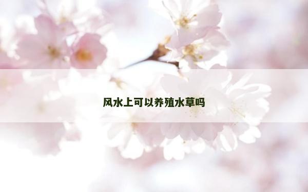 风水上可以养殖水草吗