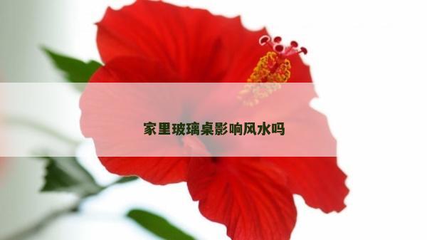 家里玻璃桌影响风水吗