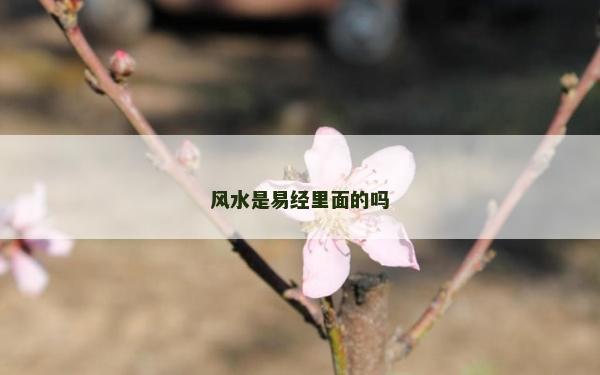 风水是易经里面的吗