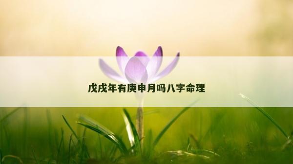 戊戌年有庚申月吗八字命理