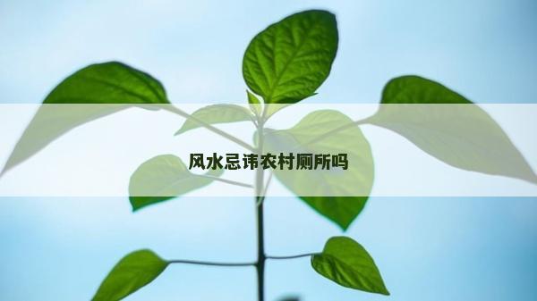 风水忌讳农村厕所吗