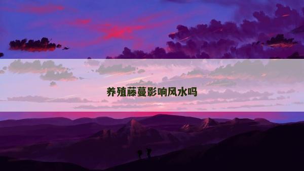养殖藤蔓影响风水吗