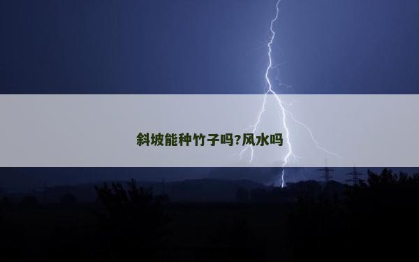 斜坡能种竹子吗?风水吗