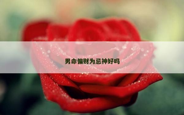 男命偏财为忌神好吗