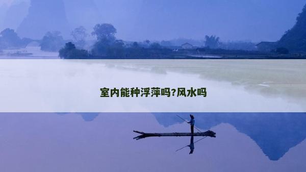 室内能种浮萍吗?风水吗