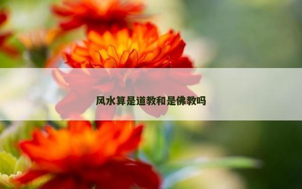 风水算是道教和是佛教吗