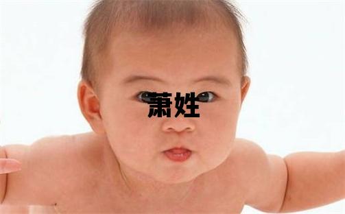 萧姓有含义的男宝宝名字