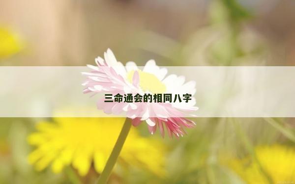 三命通会的相同八字
