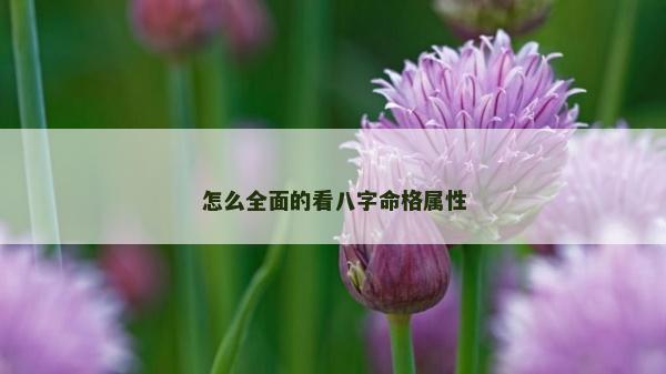 怎么全面的看八字命格属性