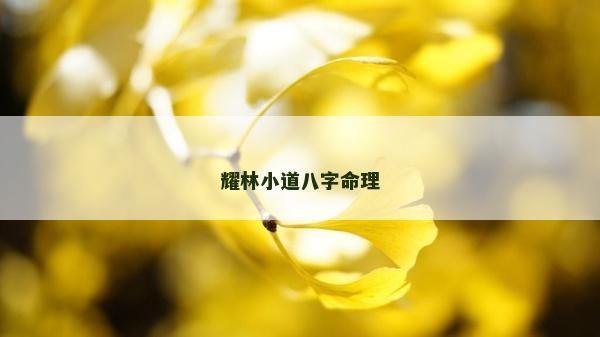 耀林小道八字命理