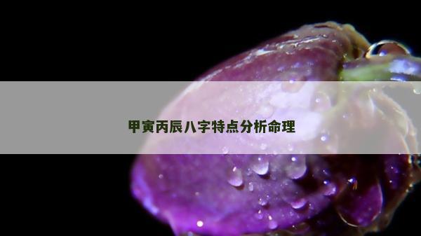 甲寅丙辰八字特点分析命理