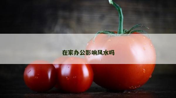 在家办公影响风水吗