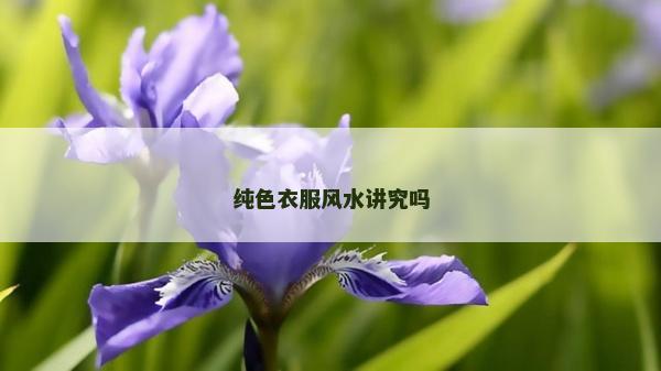 纯色衣服风水讲究吗