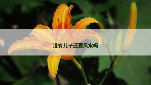 没有儿子还要风水吗