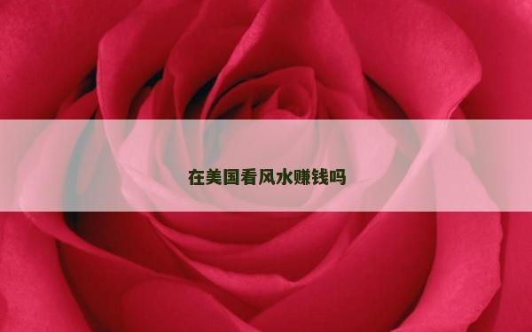 在美国看风水赚钱吗