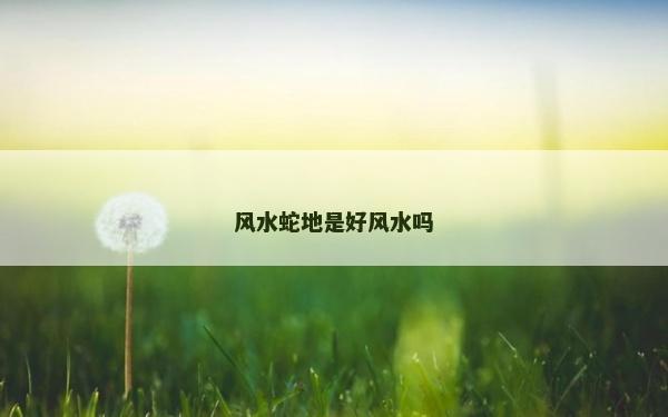 风水蛇地是好风水吗